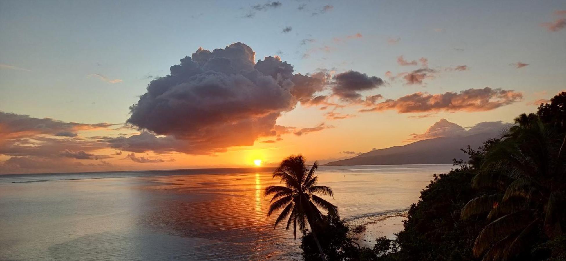 Maui Homestay Vue Ocean Exceptionnelle & Baleines En Saison Tohautu Exterior foto